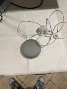 Google Home orginal