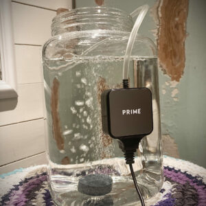 Liten, stillegående, rimelig og strømgjerrig oksygenpumpe til Akvarier mm.