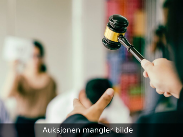 Venter på produktbilde