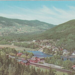 Gol stasjon Hallingdal Ener. H. Strand Ubrukt. Meget pent