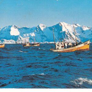 Lofoten. Fiskeflåten går ut