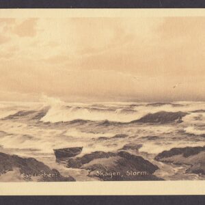 Carl Locher: Skagen, storm (22198) - Ubrukt