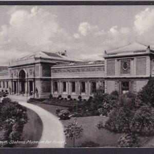 København. Statens Museum for Kunst (Nr. 5481) - St. KØBENHAVN 3 JUL 1951