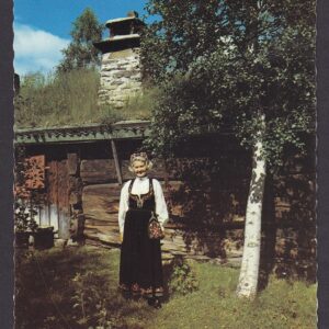 Bunad fra Valdres (Golberg B-23) - St. BAGN 1 7.76