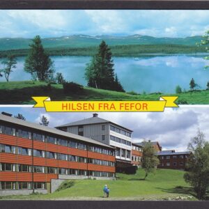 Hilsen fra Fefor (Normann 01-G-8-201) - Ubrukt