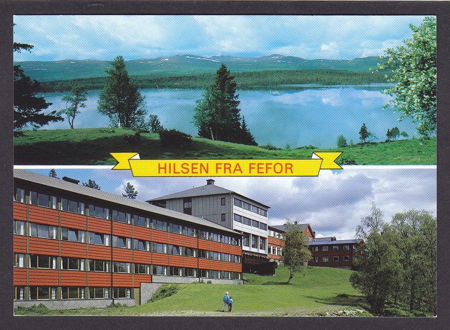 Hilsen fra Fefor (Normann 01-G-8-201) – Ubrukt