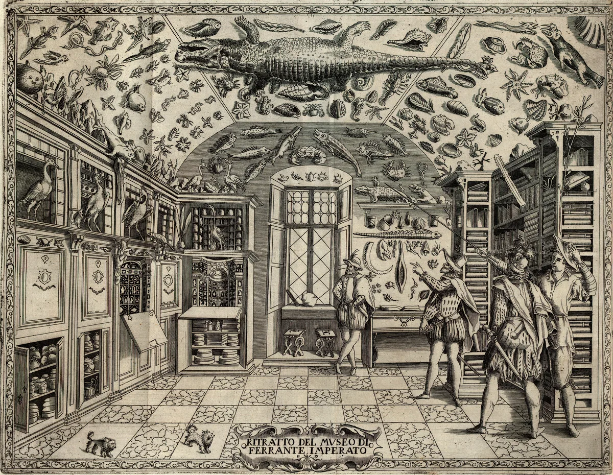 Engraving of a 'wunderkammer': a room in a rich person's house filled with weird objects they collected