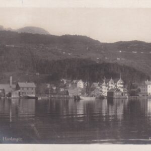 Ulvik, Hardanger ( Eneret Mittet & Co 950)